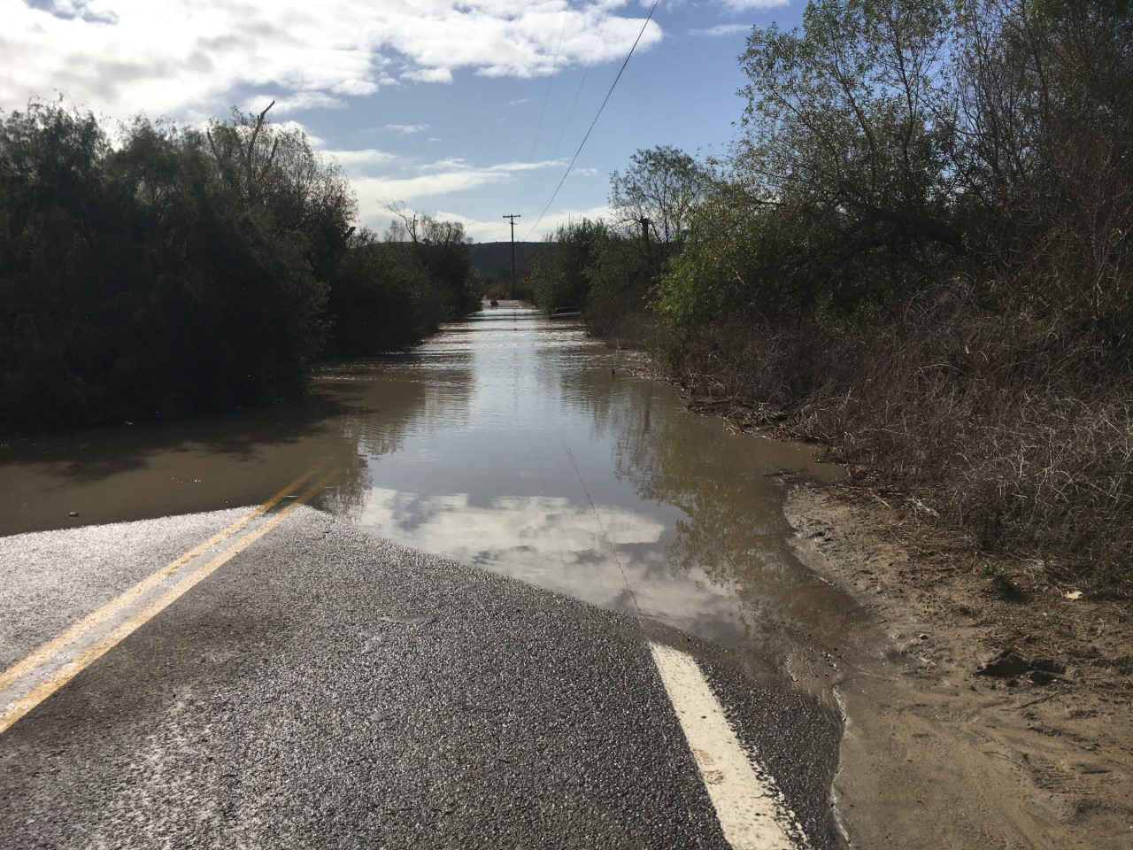 tijuana river valley rescue 4.jpg