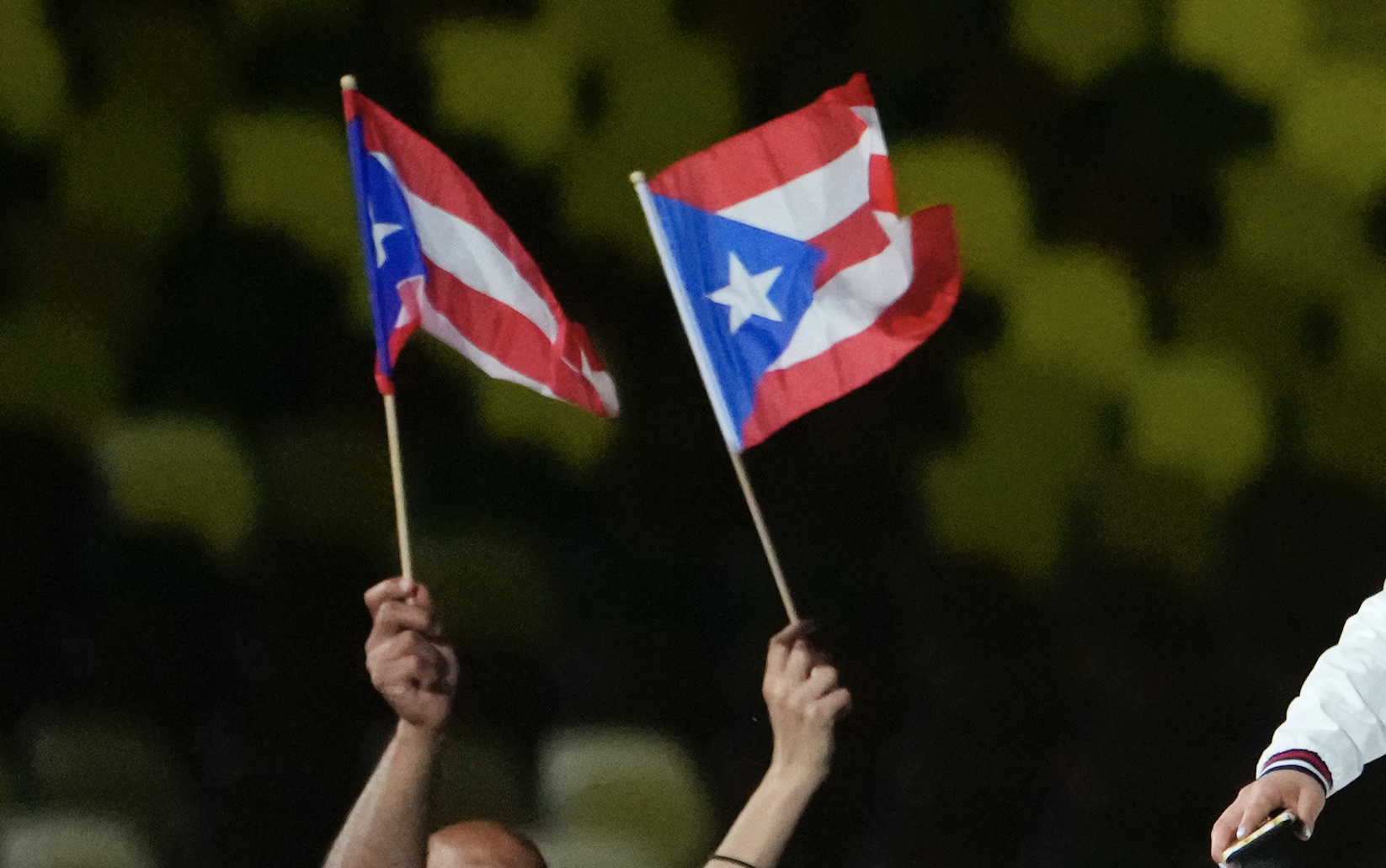 puerto rico flag
