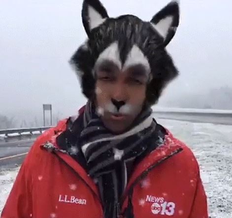 fb filter reporter.JPG