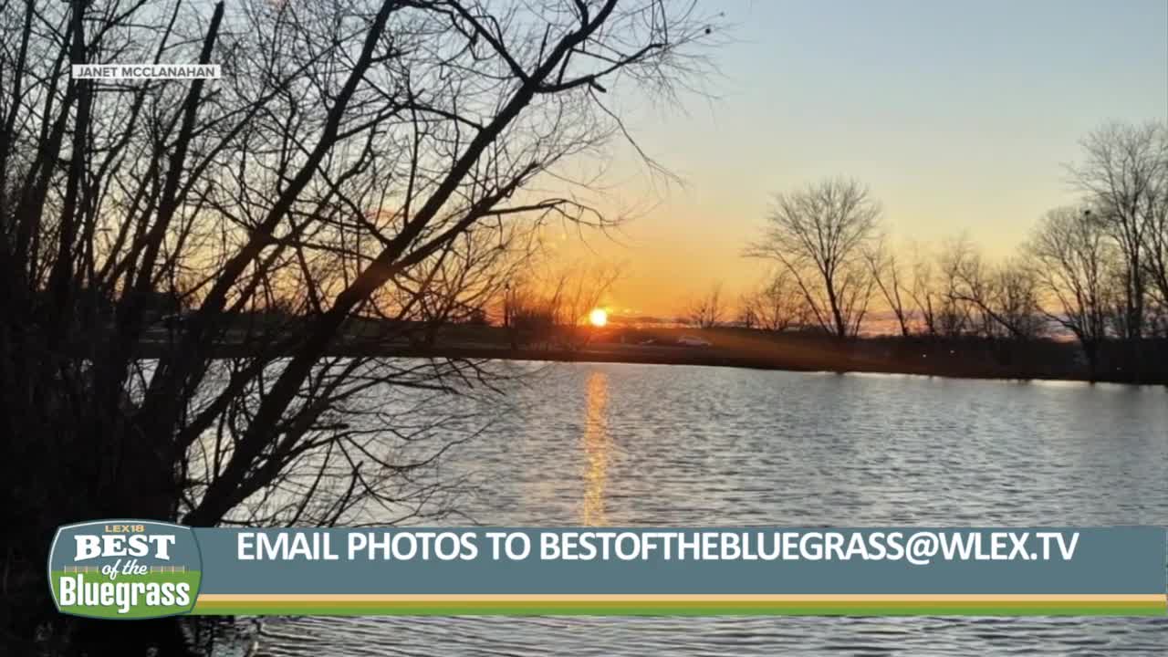 Poster image (76).jpg