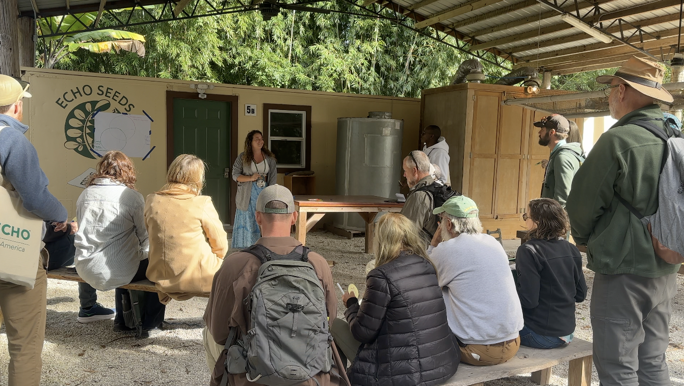 A workshop at the conference 