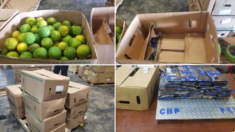 wptv-cocaine-orange-shipment.jpg