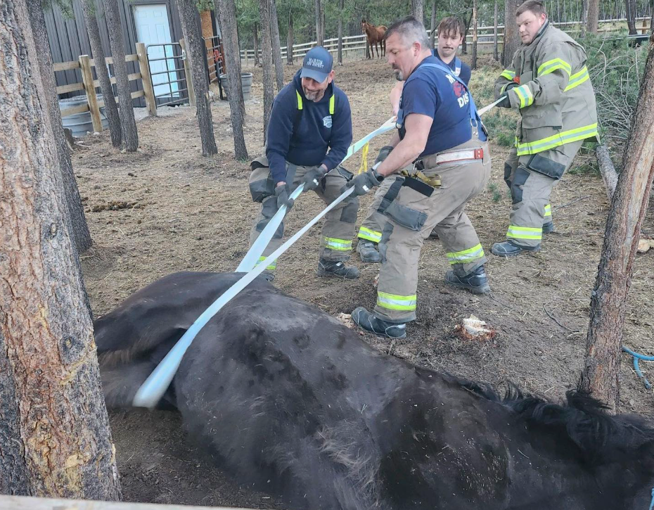 Horse Rescue 1.png