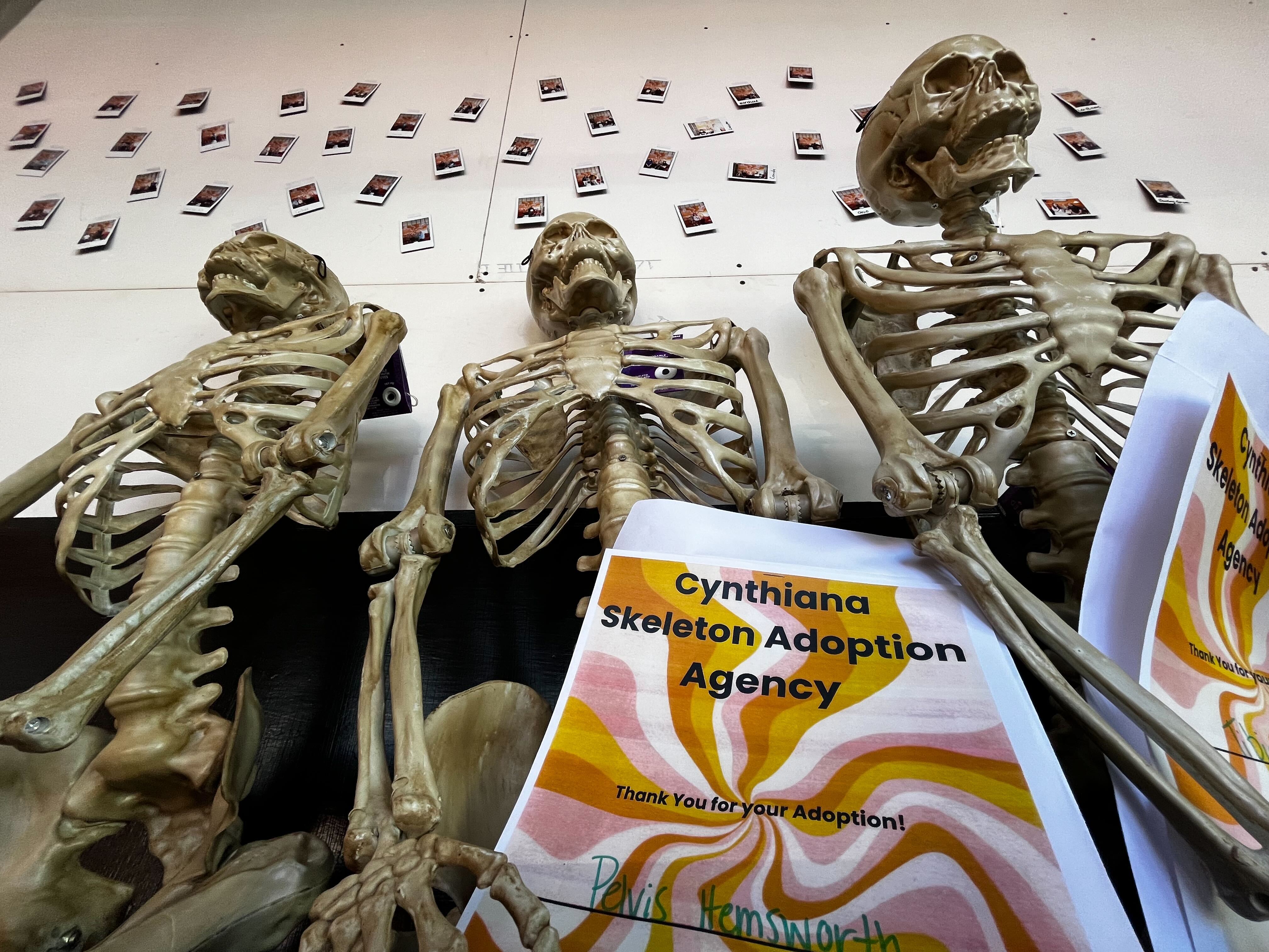 Cynthiana Skeleton Adoption Agency 