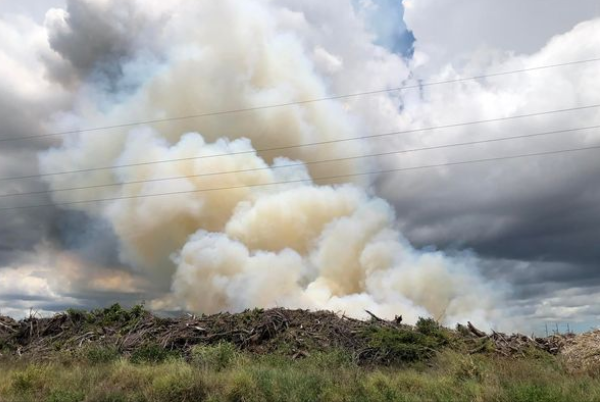 Mulch fire in St. Lucie County.PNG