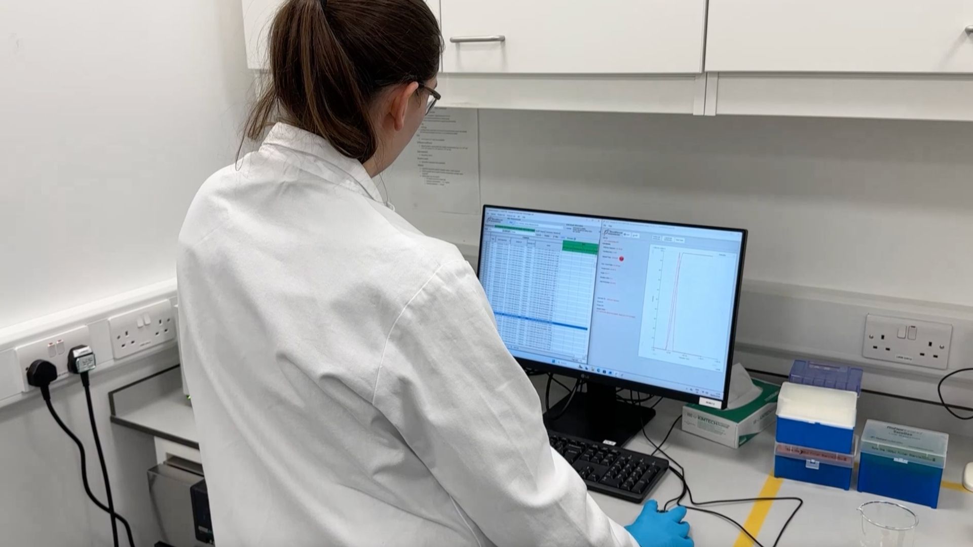 A scientist who is working to develop a hantavirus vaccine.
