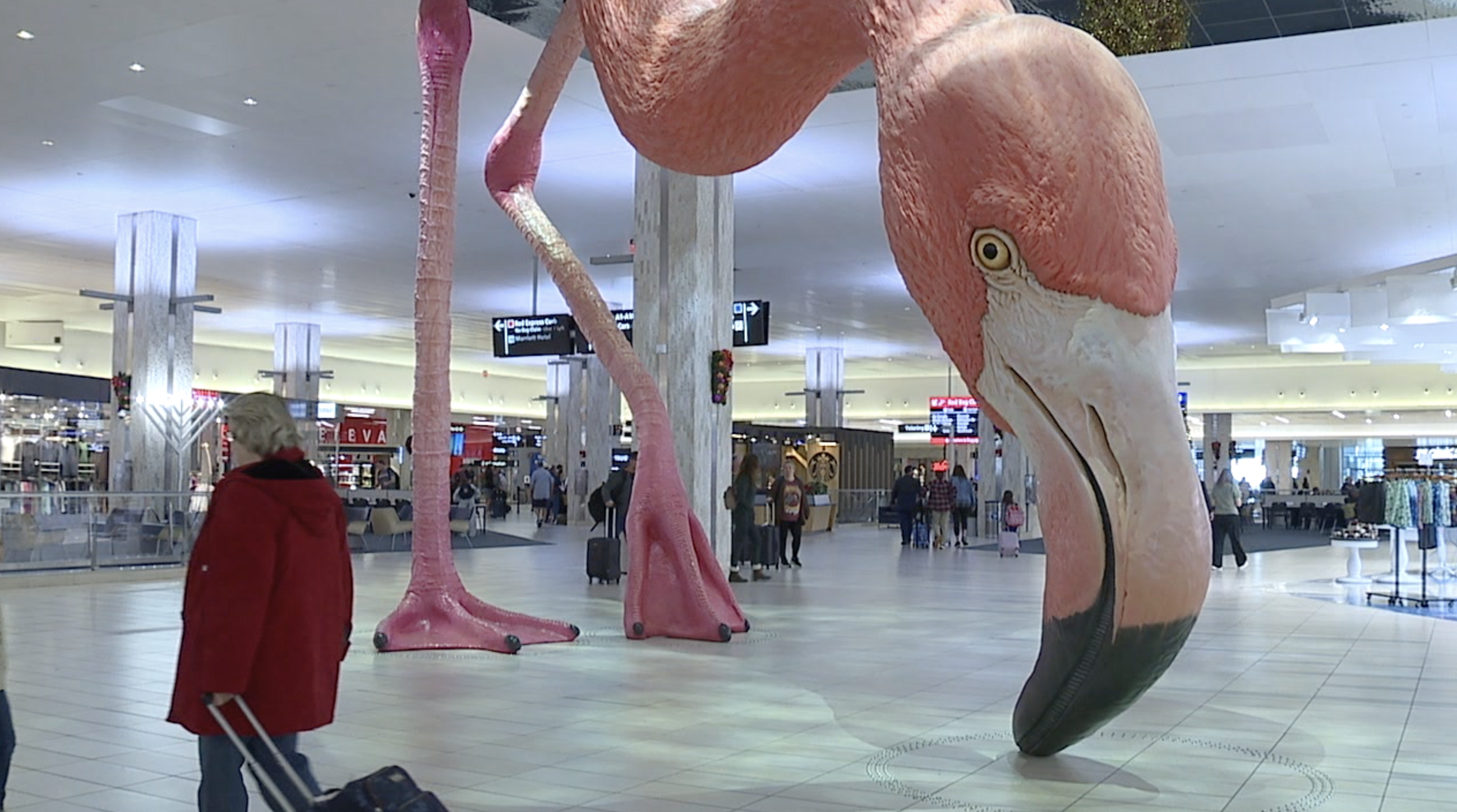 Post-Christmas travel brings delays to Tampa International Airport as families reunite