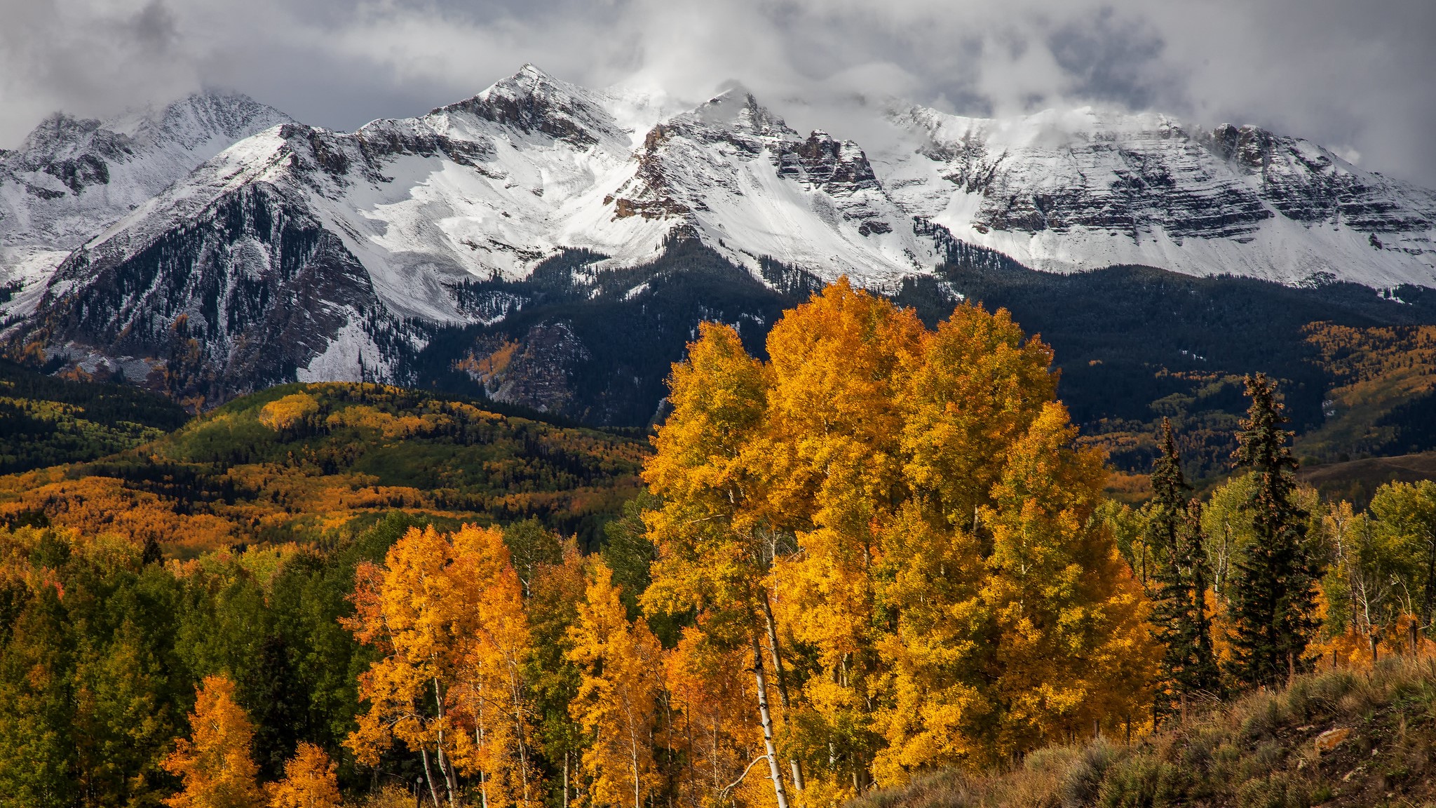 near Telluride Bruce Hausknecht