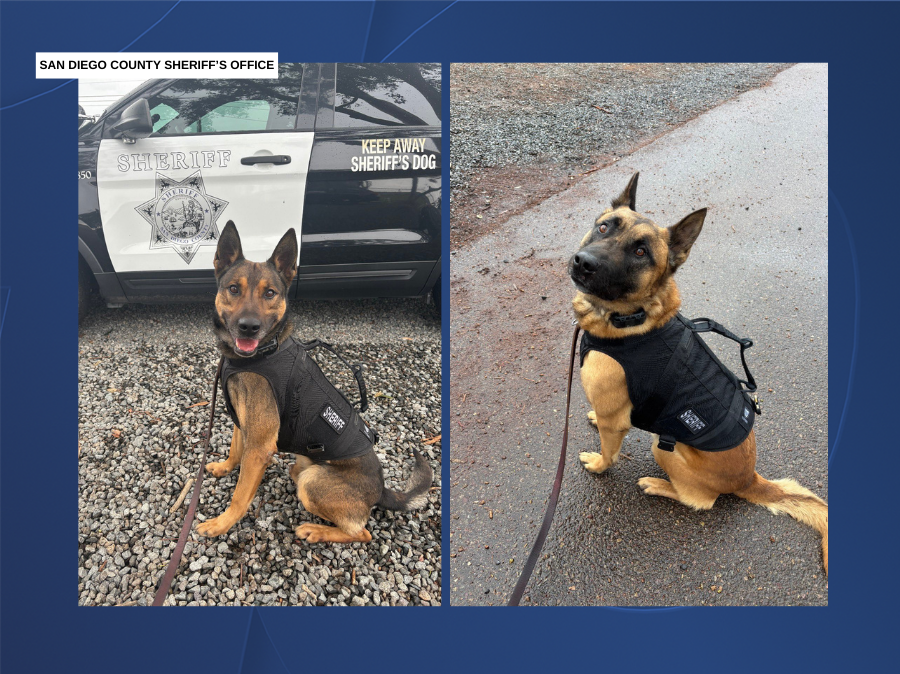 sheriffs_office_bulletproof_ballistic_vests_k9.png