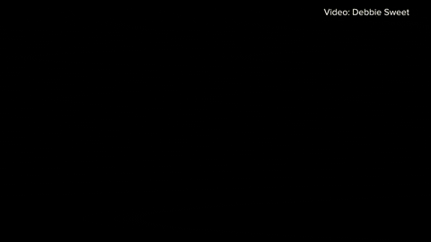 Tornado GIF-downsized_large.gif