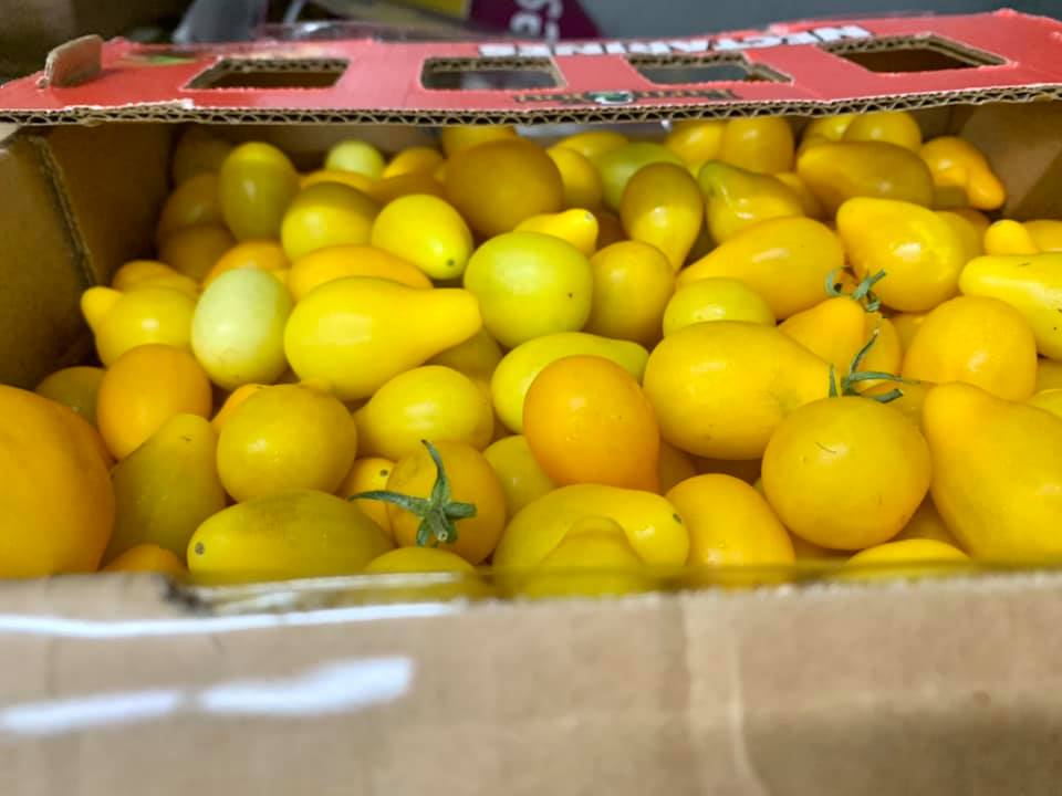 Second Harvest of the Big Bend, Monique Ellsworth