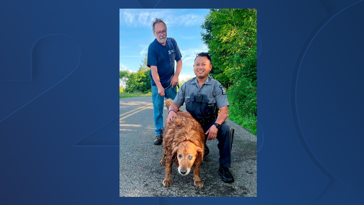 Dog in Drainage Pipe