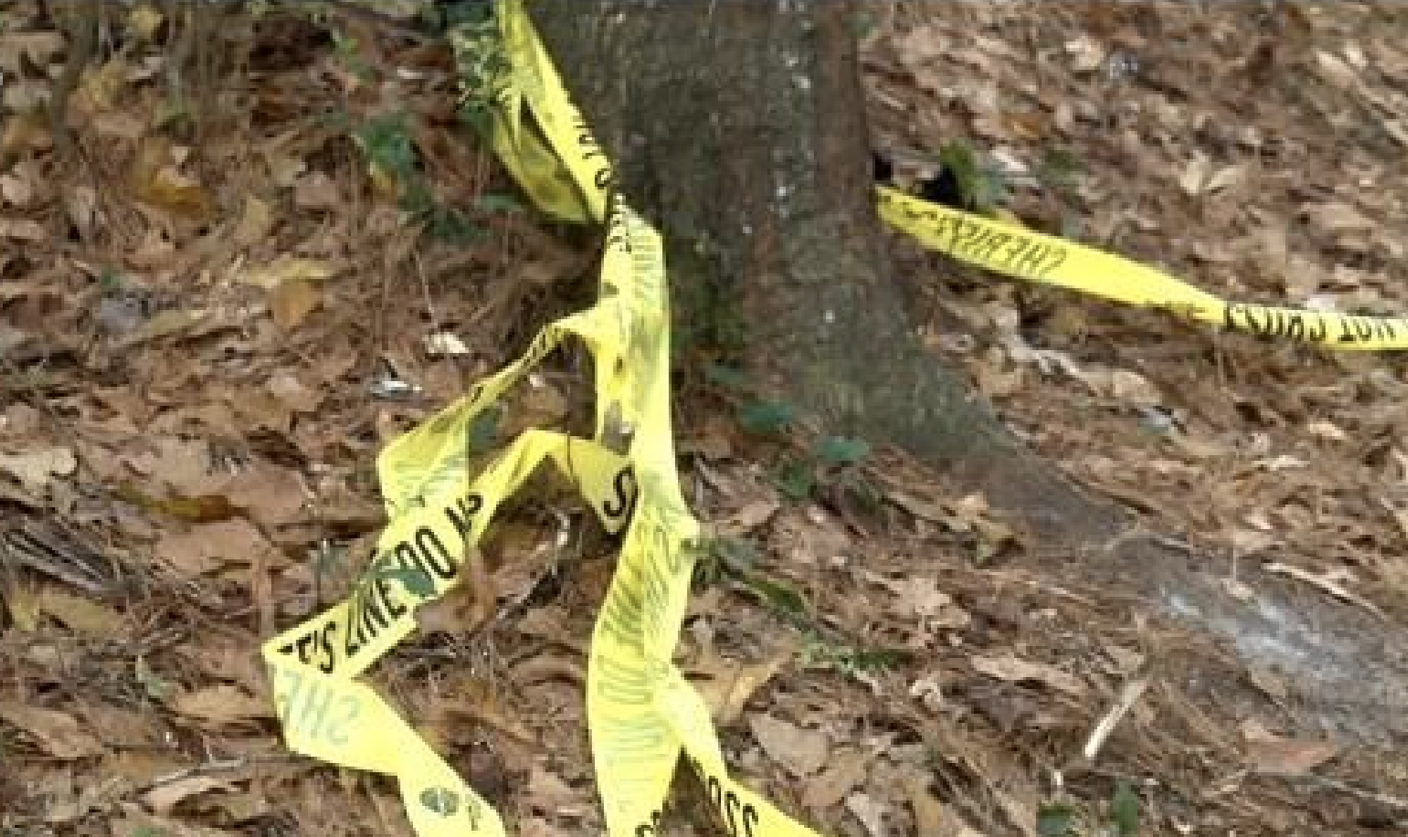 One Person Killed at Camping Event in Apalachicola National Forest