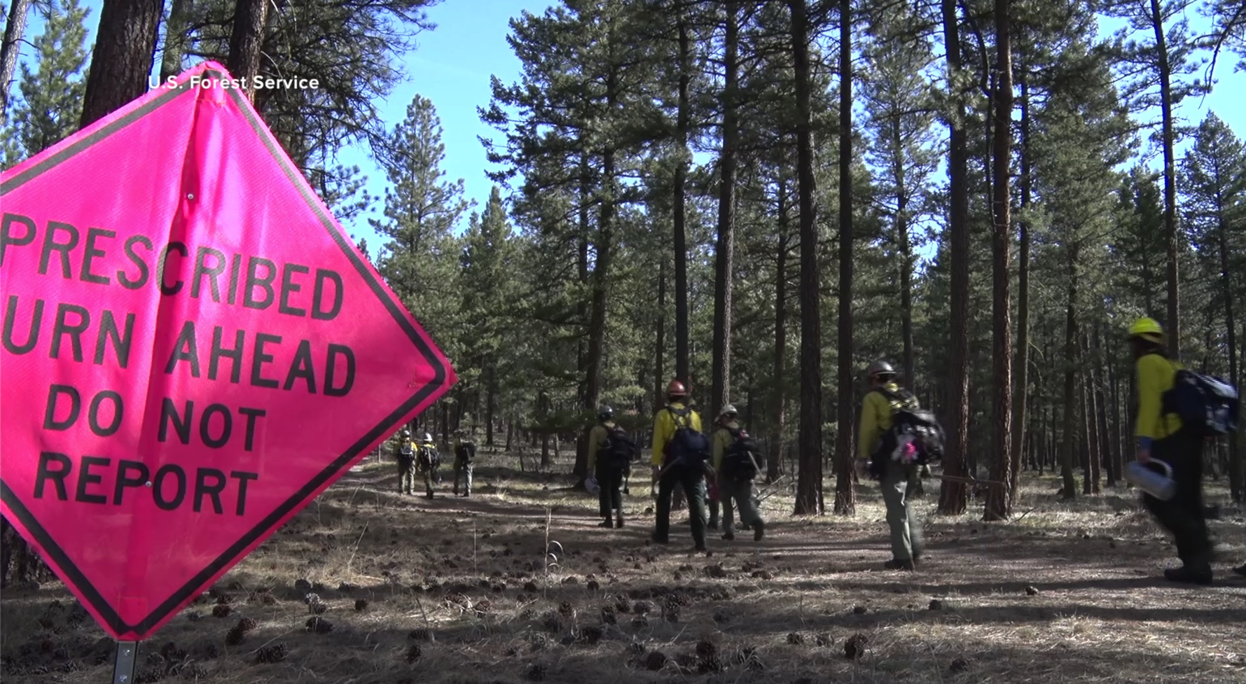 Crazy Canyon Prescribed Burns 