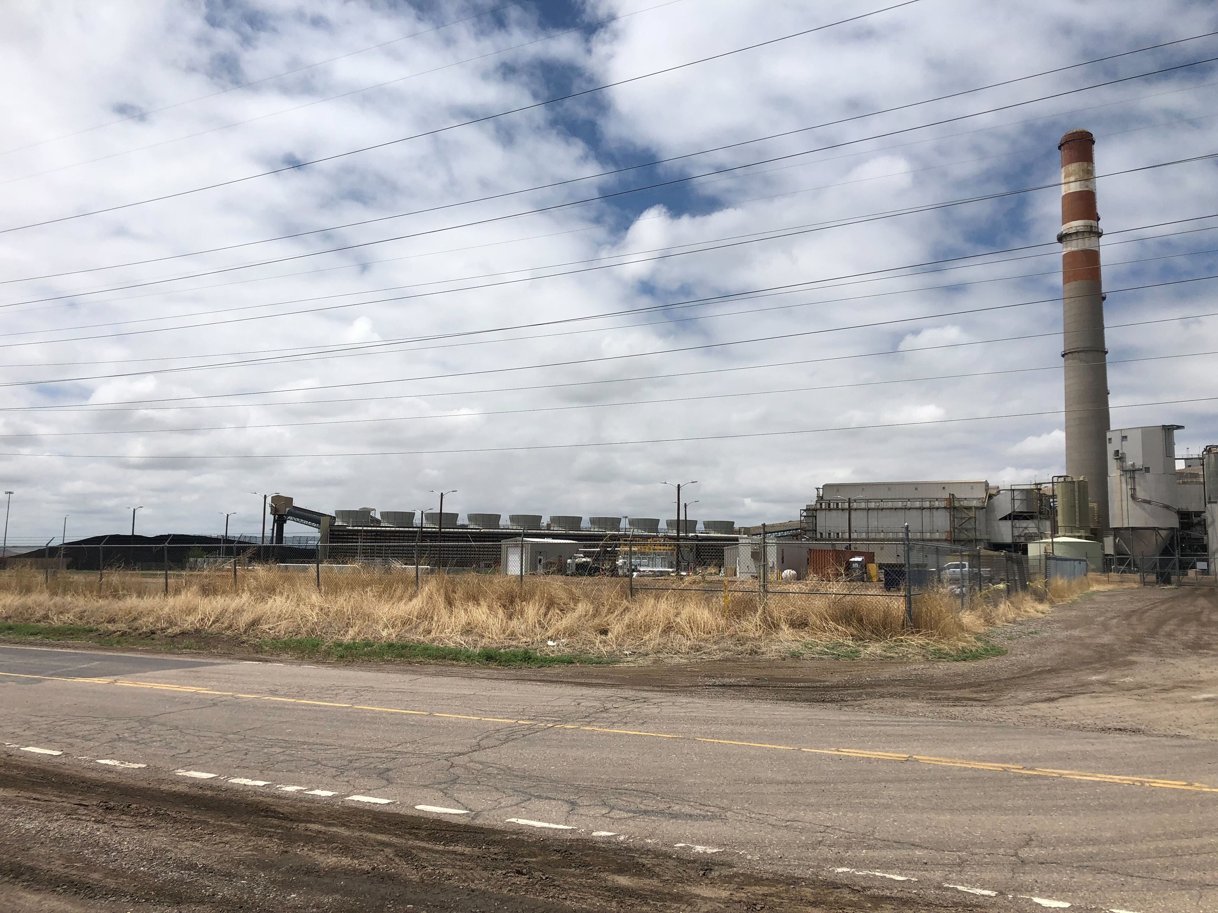 Pueblo plant