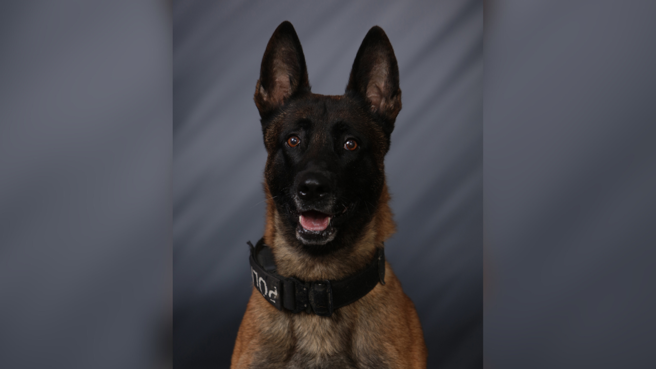 CENTERED PORTRAIT PHOTO WITH BACKGROUND (16).png