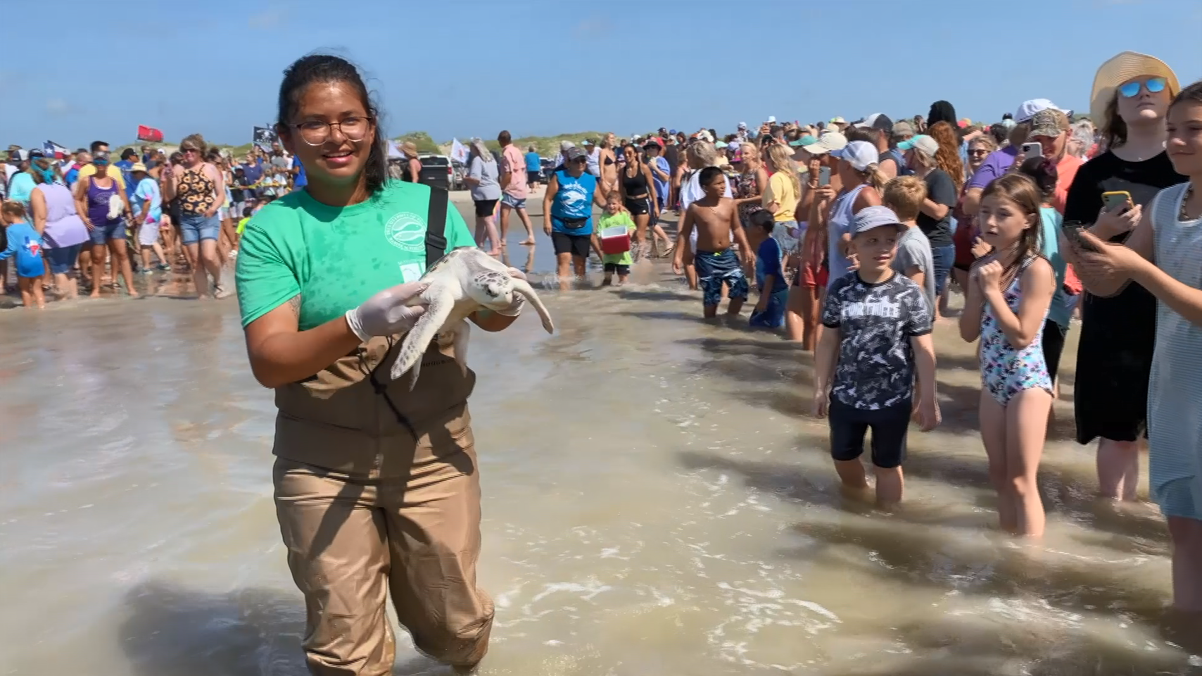 ARK turtle release.PNG