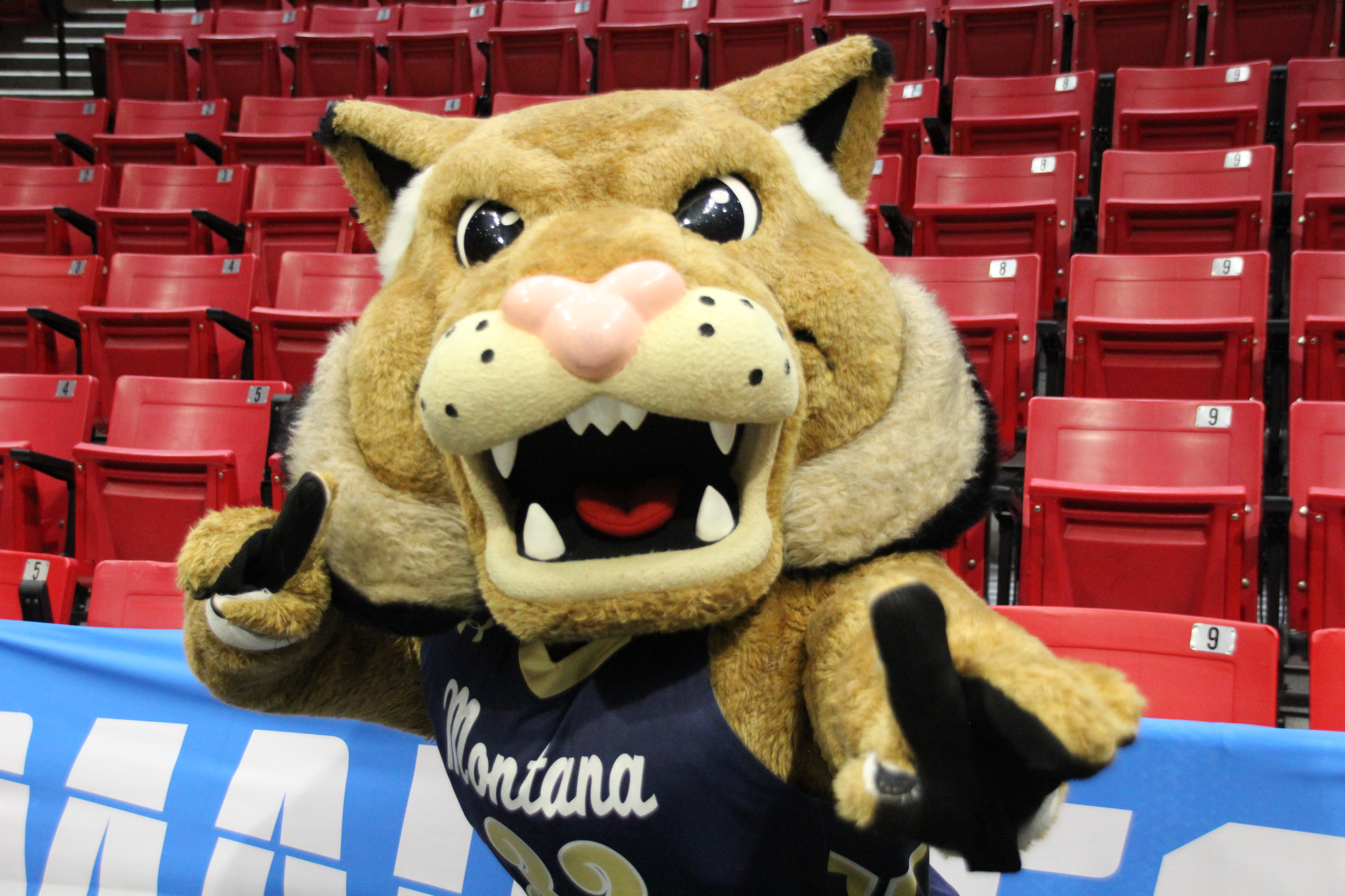 Montana State's Champ