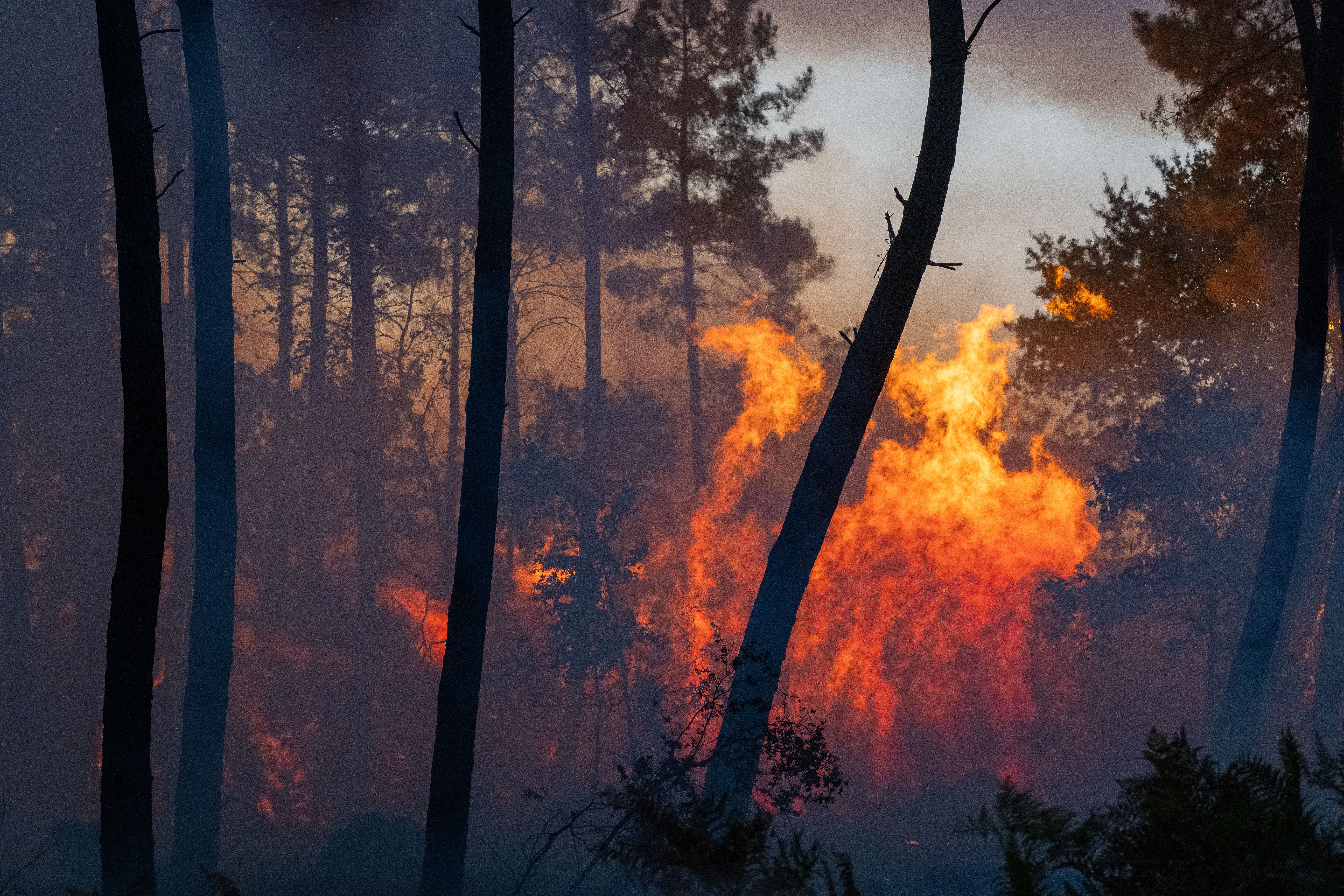 Wildfires advance near Le Proge region, western France, Thursday, July 23, 2026.
