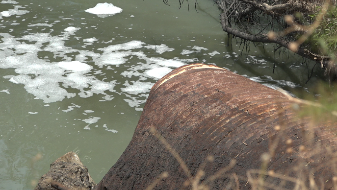San Diego County will repair leaking sewer pipes at the Saturn Blvd. Hotspot to reduce the foul ordor stench. The project is expected to be completed in the Spring or Summer of 2027.