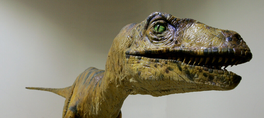 dinosaur