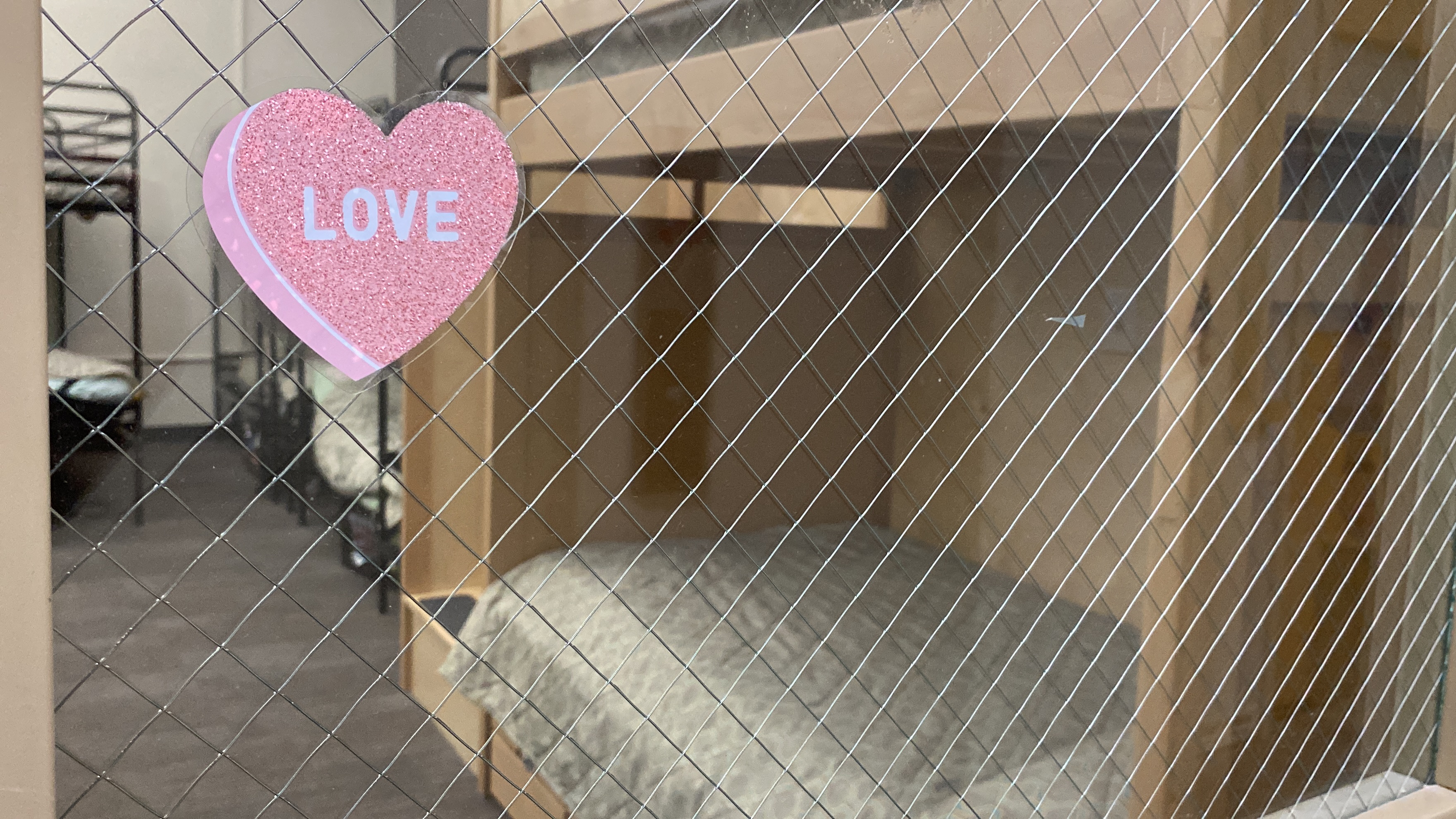 Degage adds new beds 1.JPG