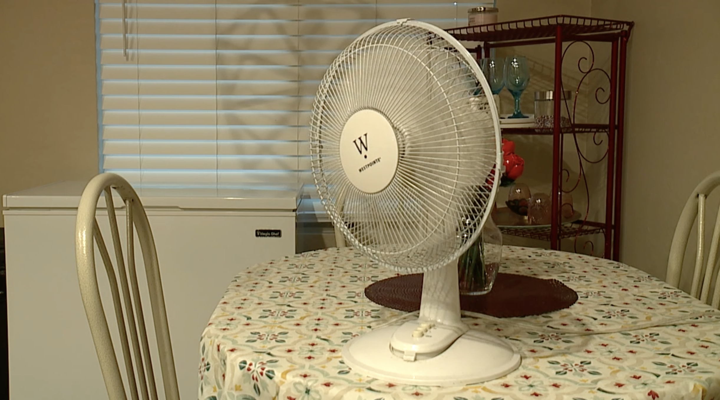 Fan 