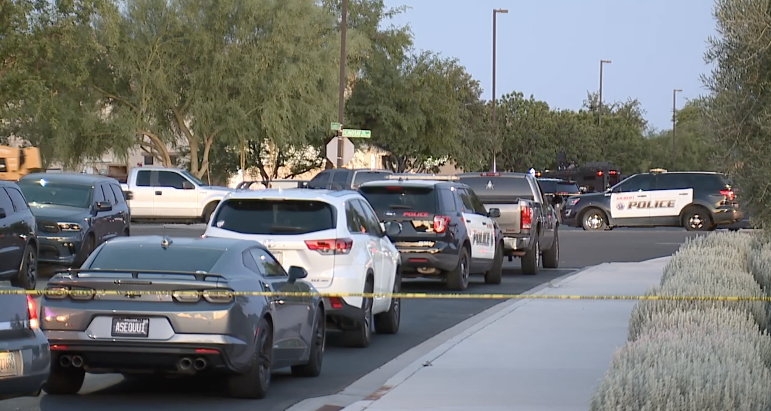 Lindsay and Lovebird Gilbert police