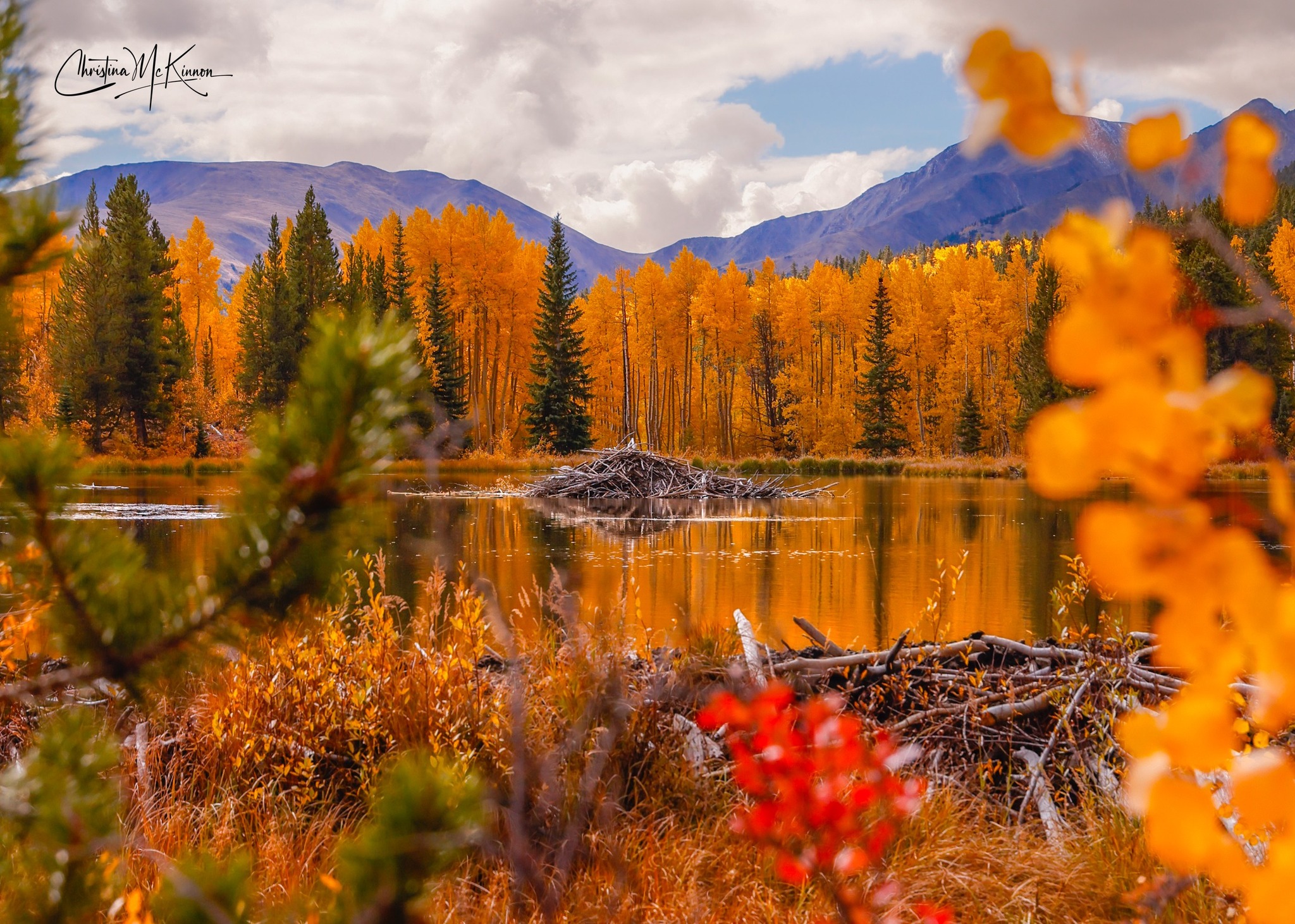 CHRISTINA MCKINNON PHOTOGRAPHY_FALL.jpg