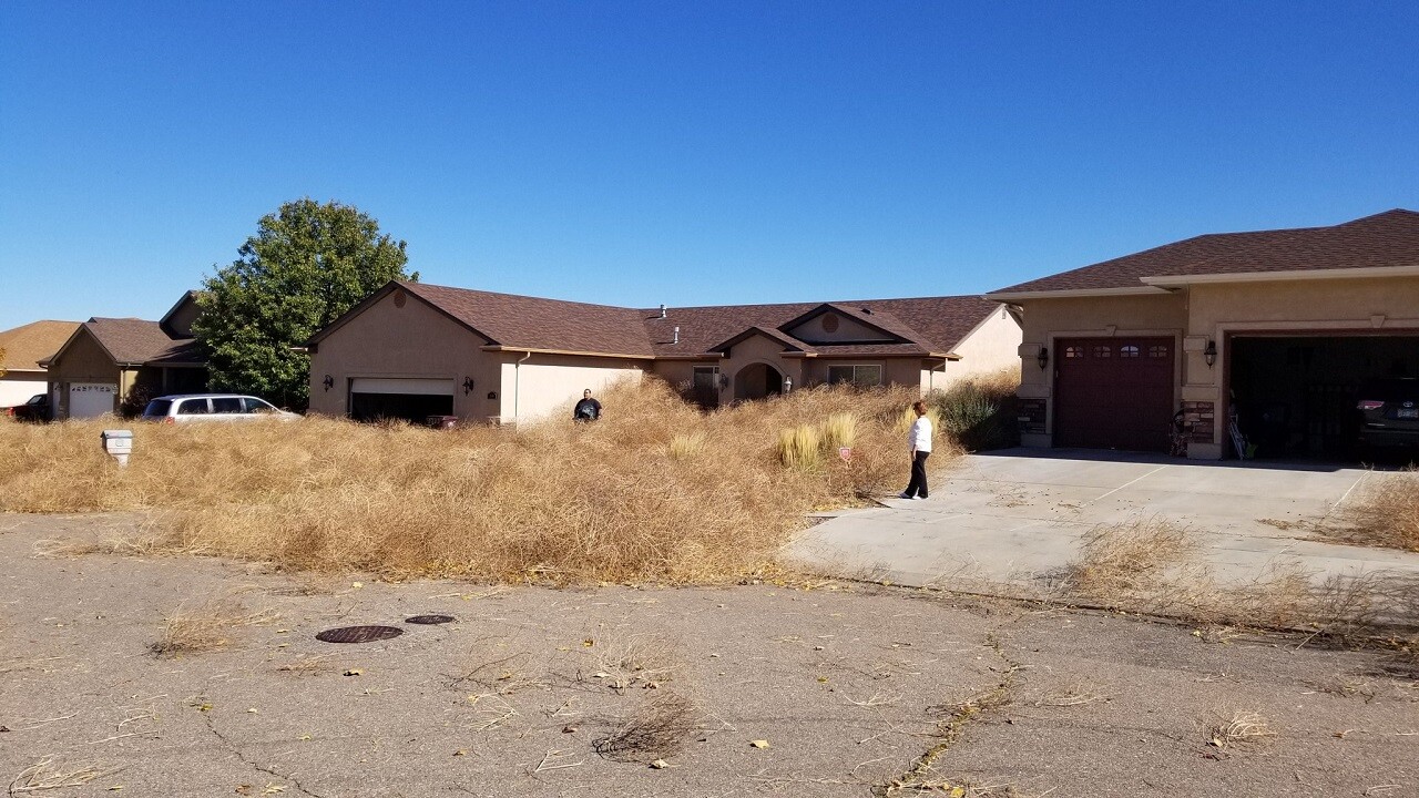 pueblo tumbleweeds 
