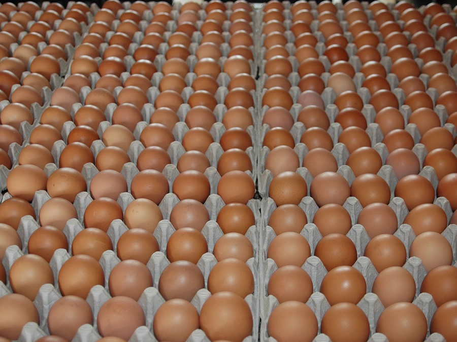 brown_eggs_cnn_image.jpg