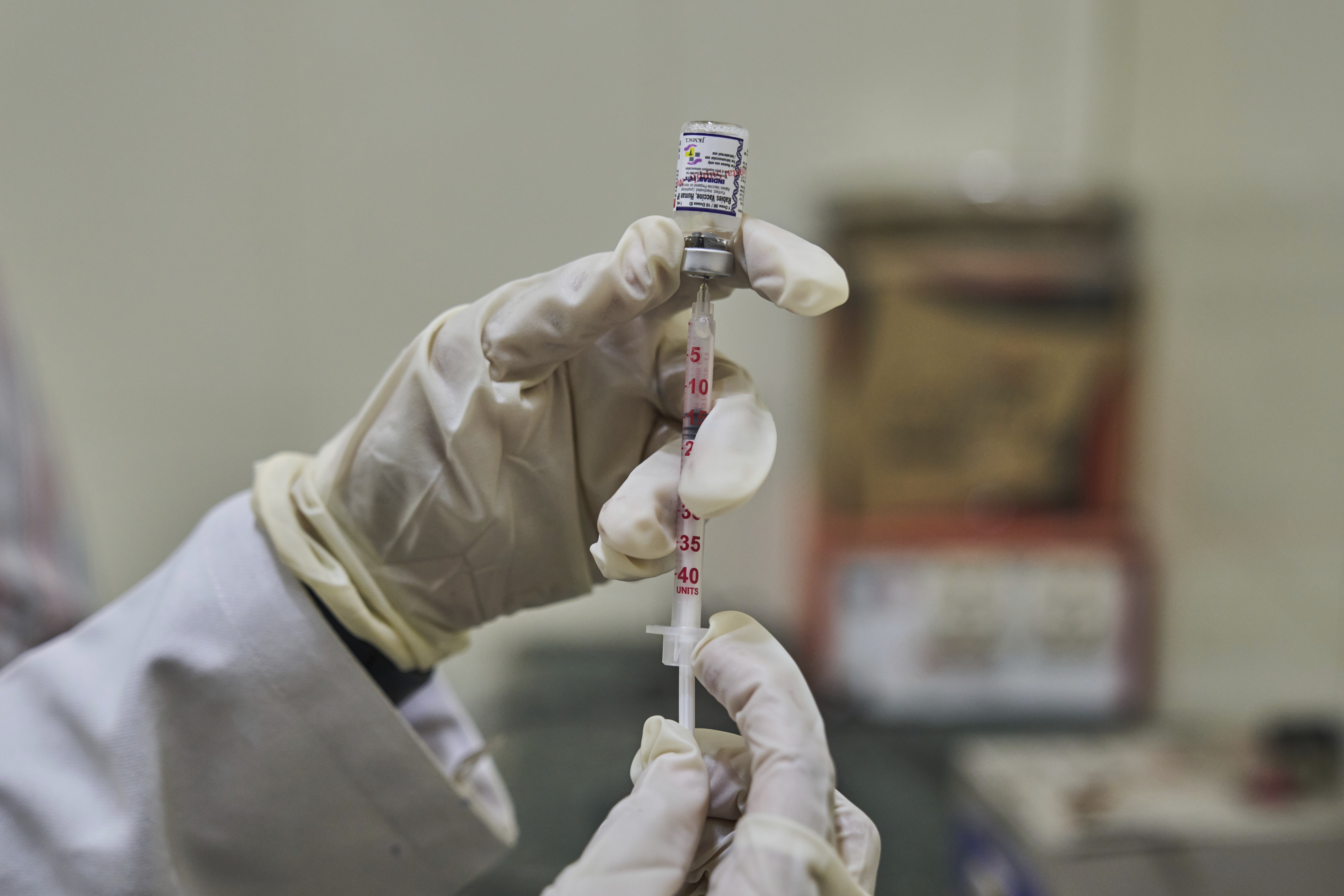 India Kashmir Stray Dogs Photo Gallery