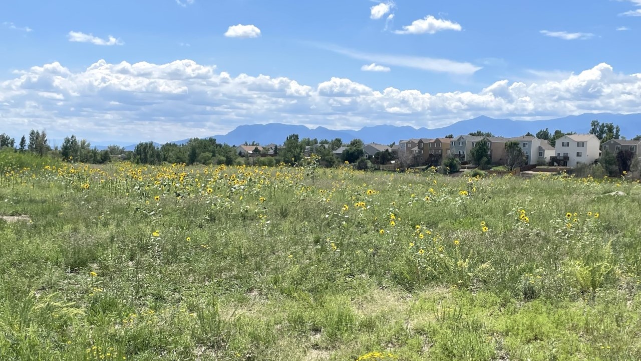 Sand Creek Trail - Colorado Springs