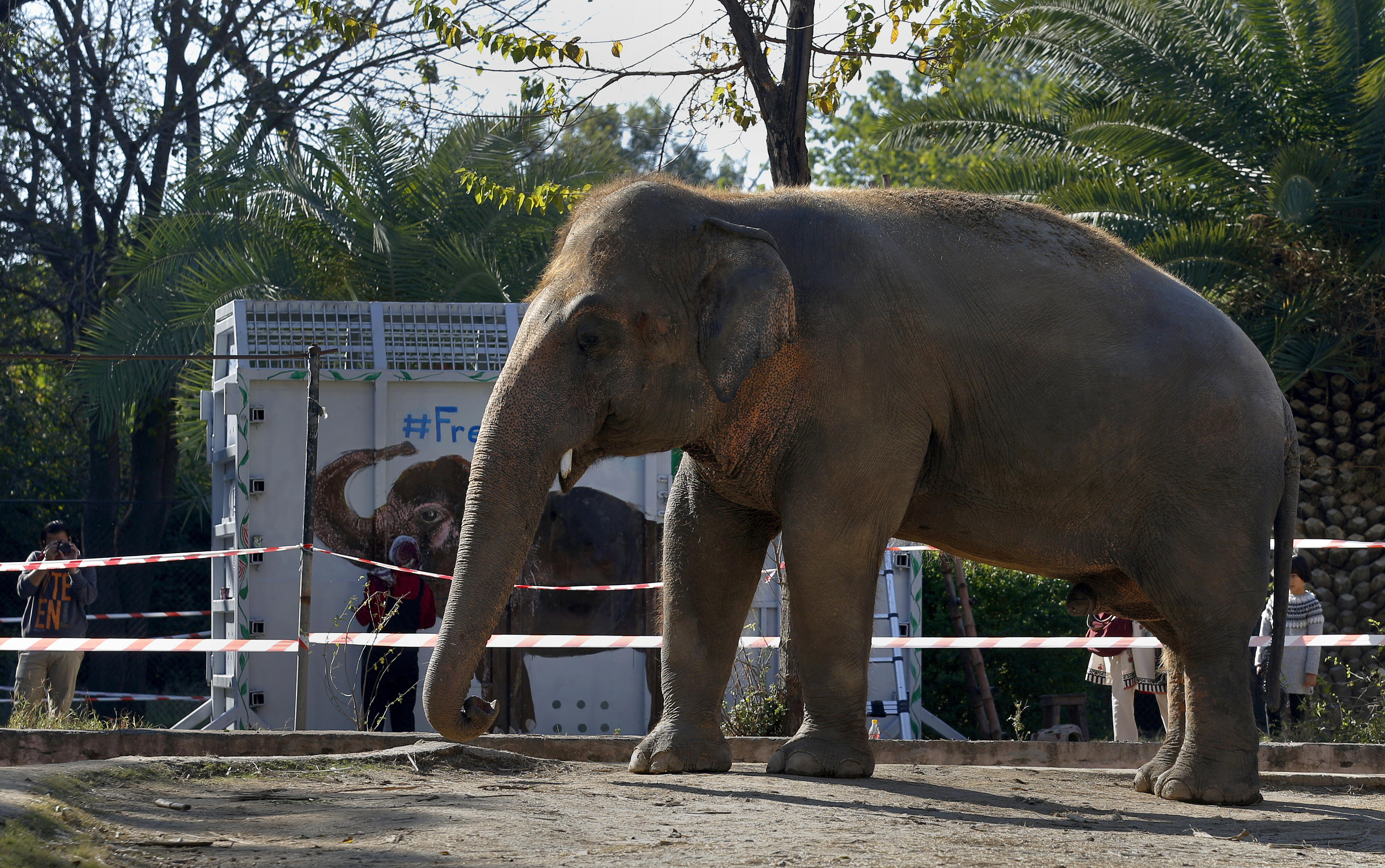 Cher in Pakistan for resettlement of 'loneliest elephant'