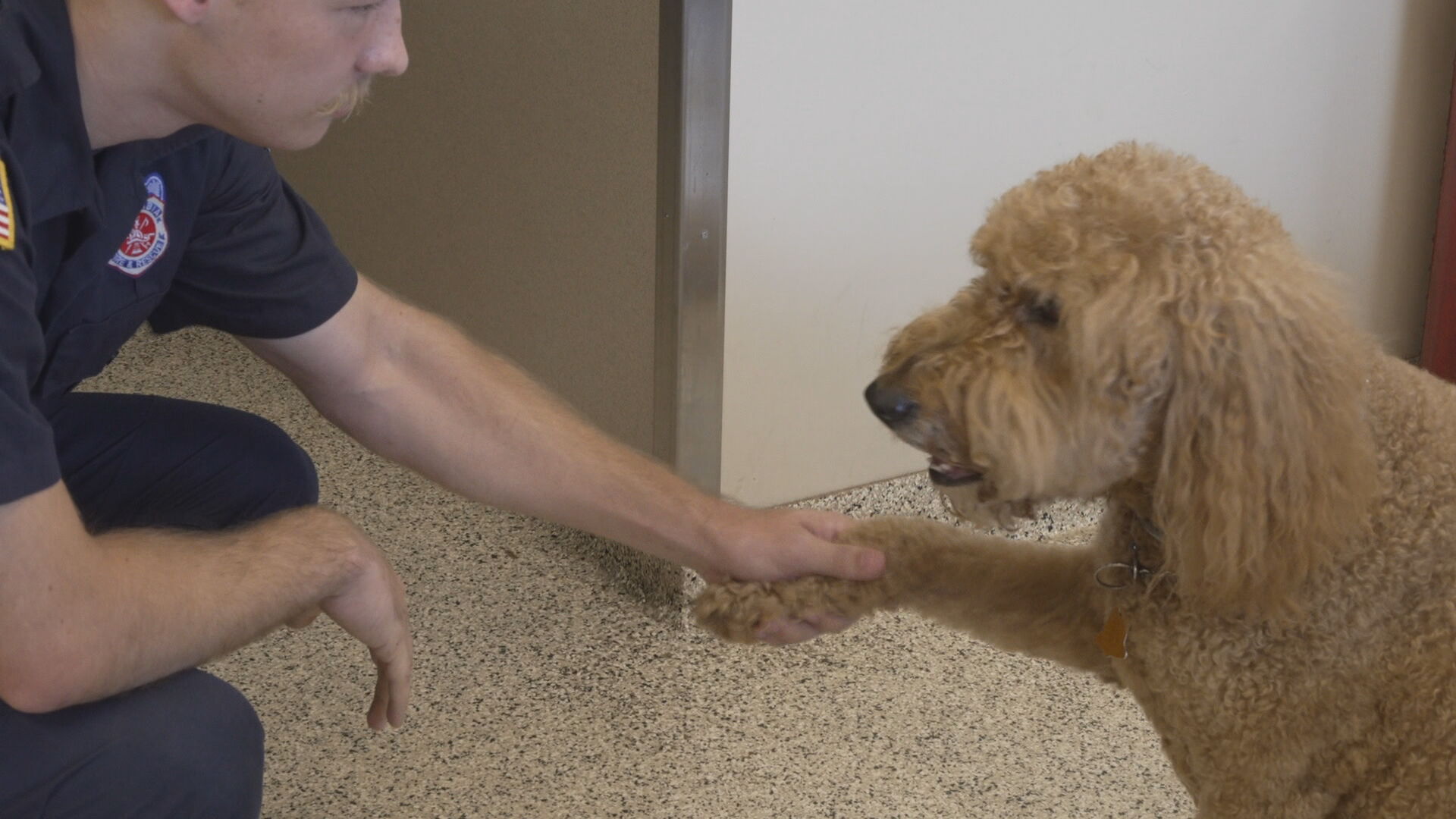 5p p-Columbia Fire & Rescue - 1st emotional support dog pkg_frame_674.jpeg