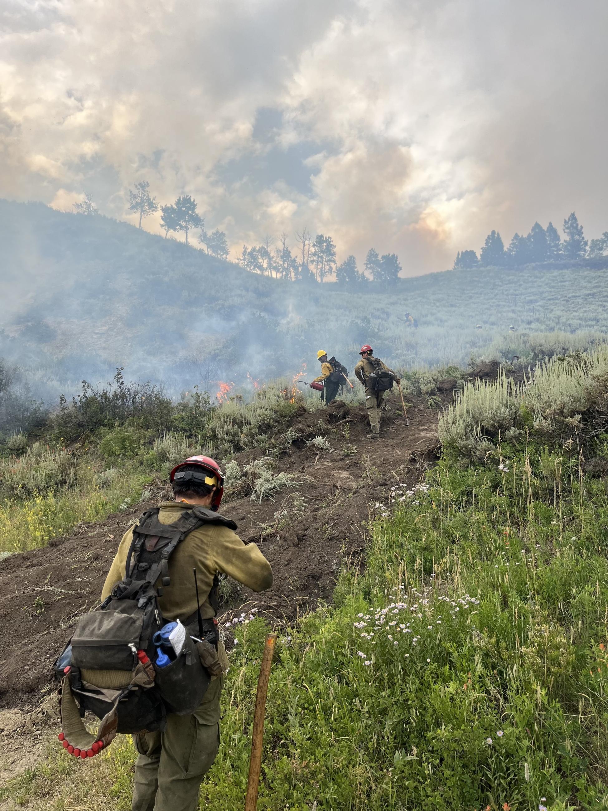 Low Line Fire_July 29 2023