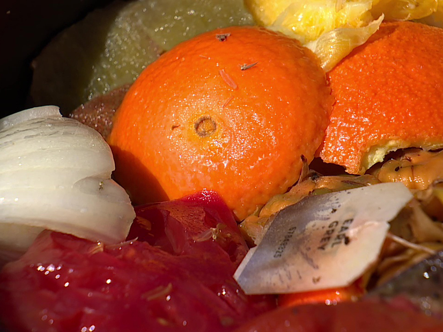 food_waste.jpg