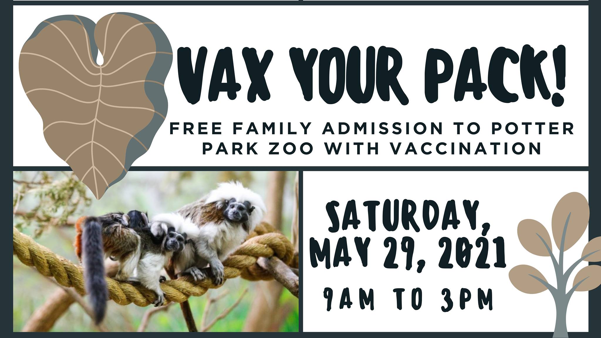 Vax Pack 