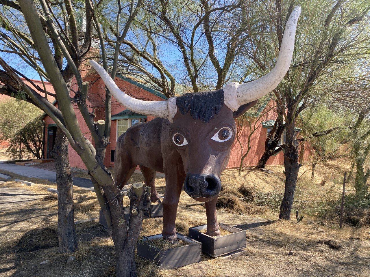 Magic Carpet Golf bull statue