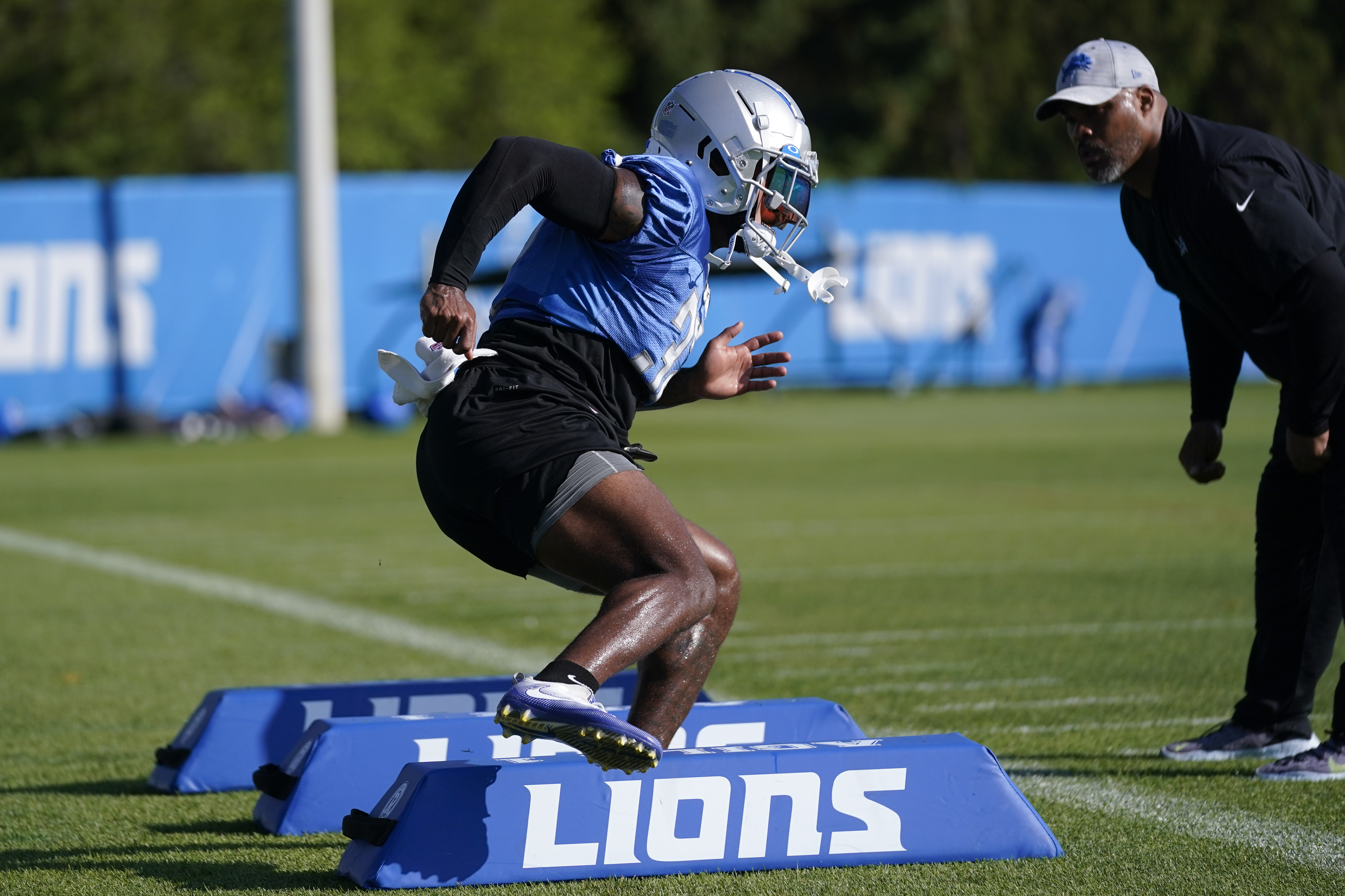 Lions Football