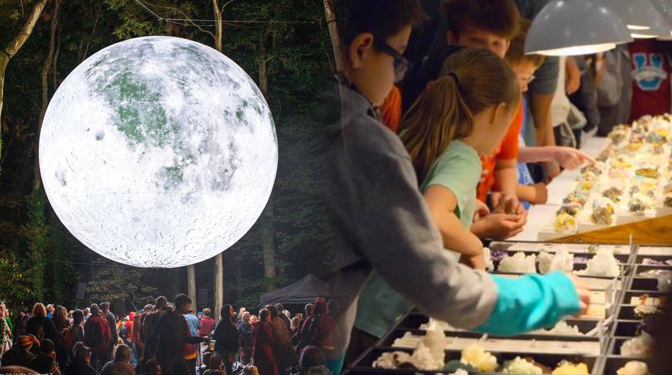 February 6-12 Phoenix Metro events that aren't Super Bowl related. 