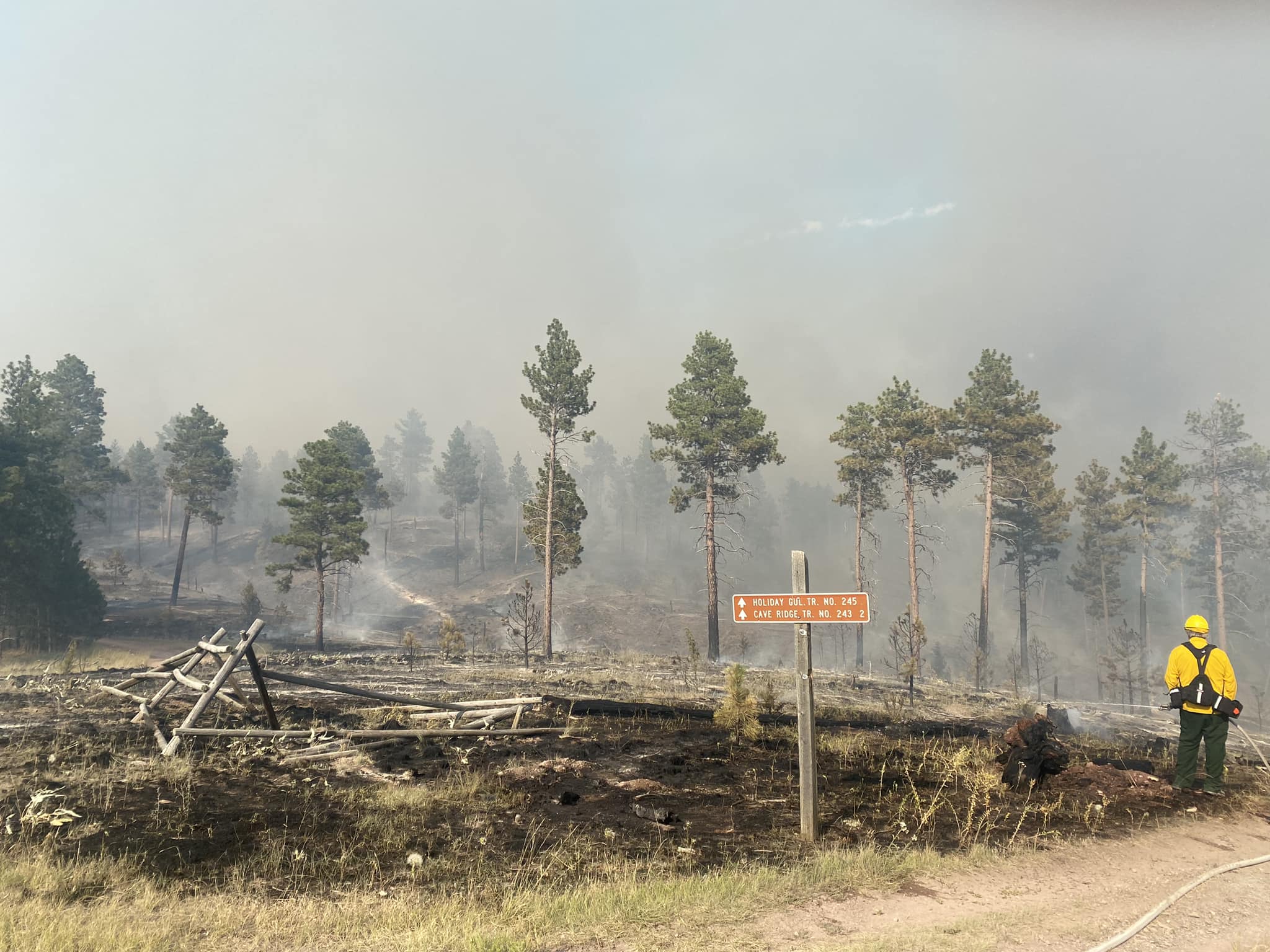 horse gulch fire.jpg