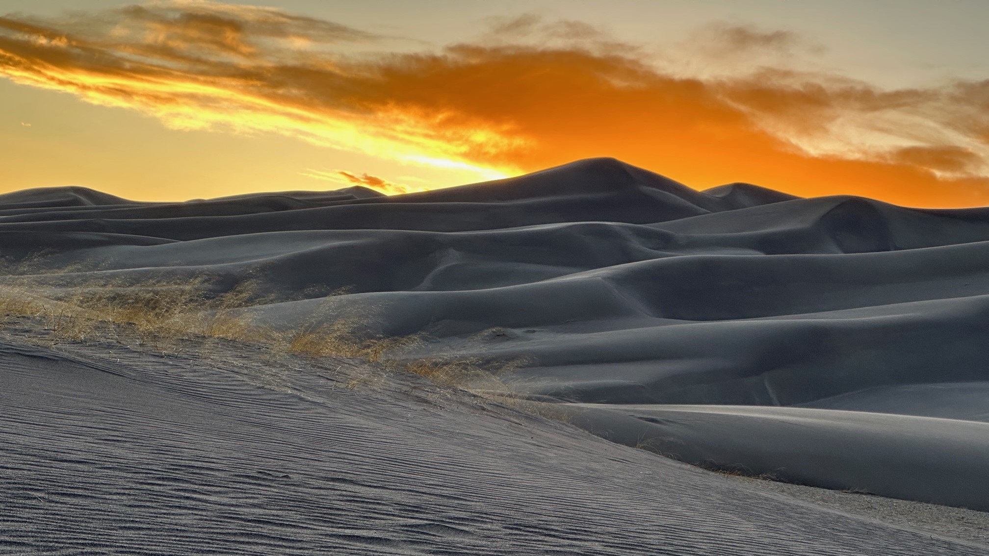 Allison Dearmin Sand Dunes