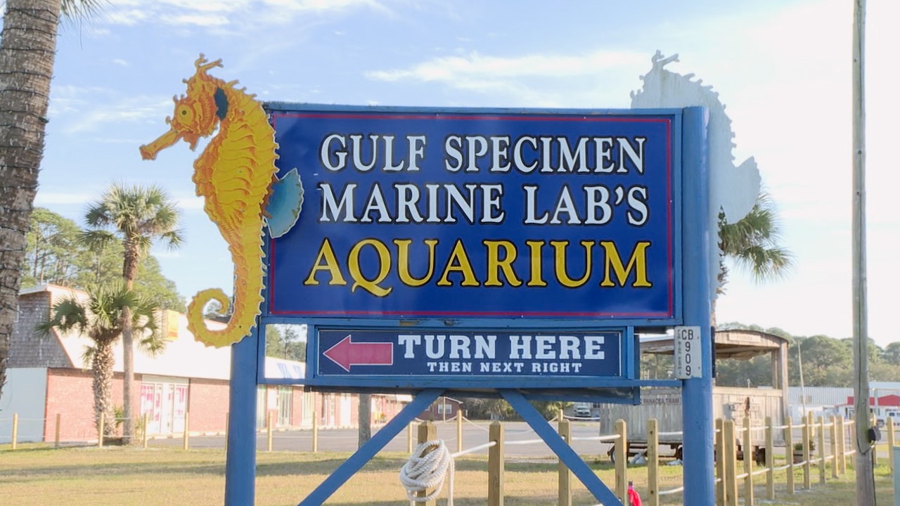 Gulf Specimen Marine Lab's wayfinding sign 