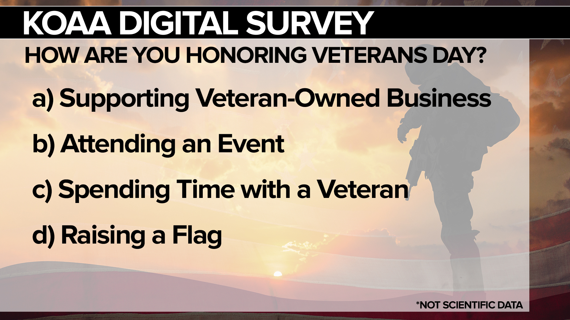 SURVEY Veterans Day.jpg