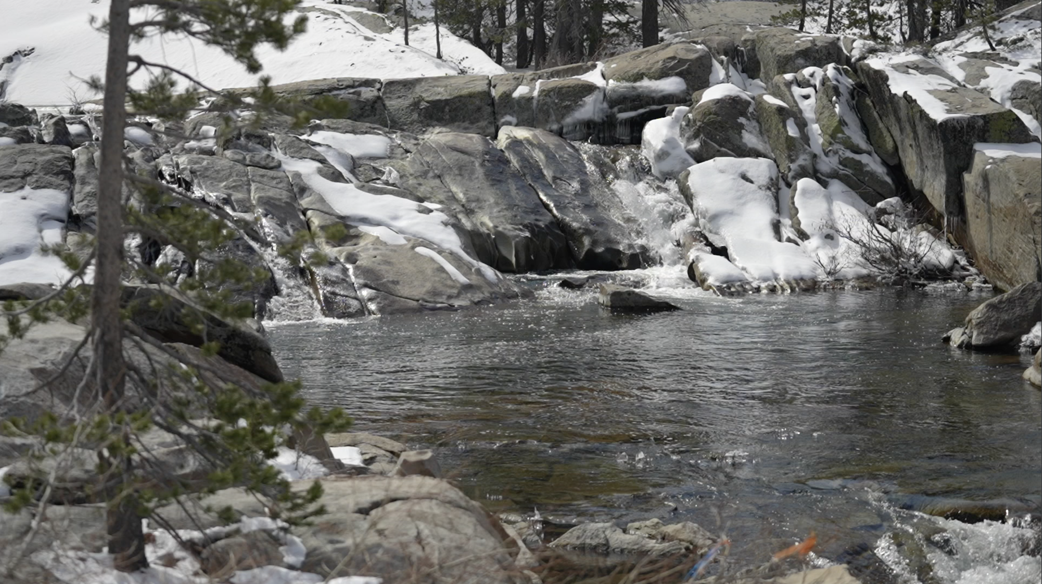 Low California snowpack could mean higher grocery prices - Vimarsana News