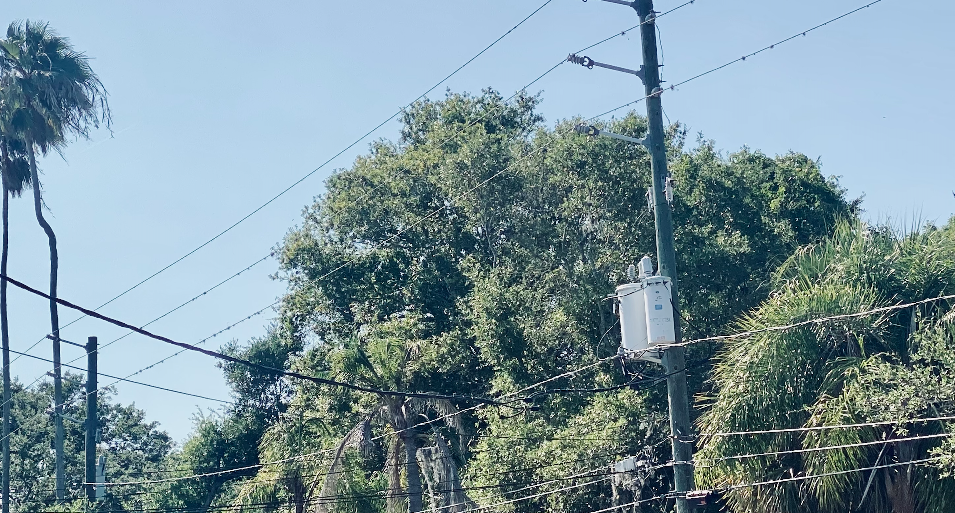 Power lines in Florida