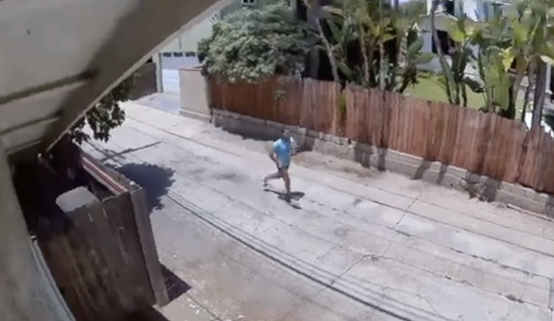 Video appears to show alleged sexual assault in daylight, suspect in custody