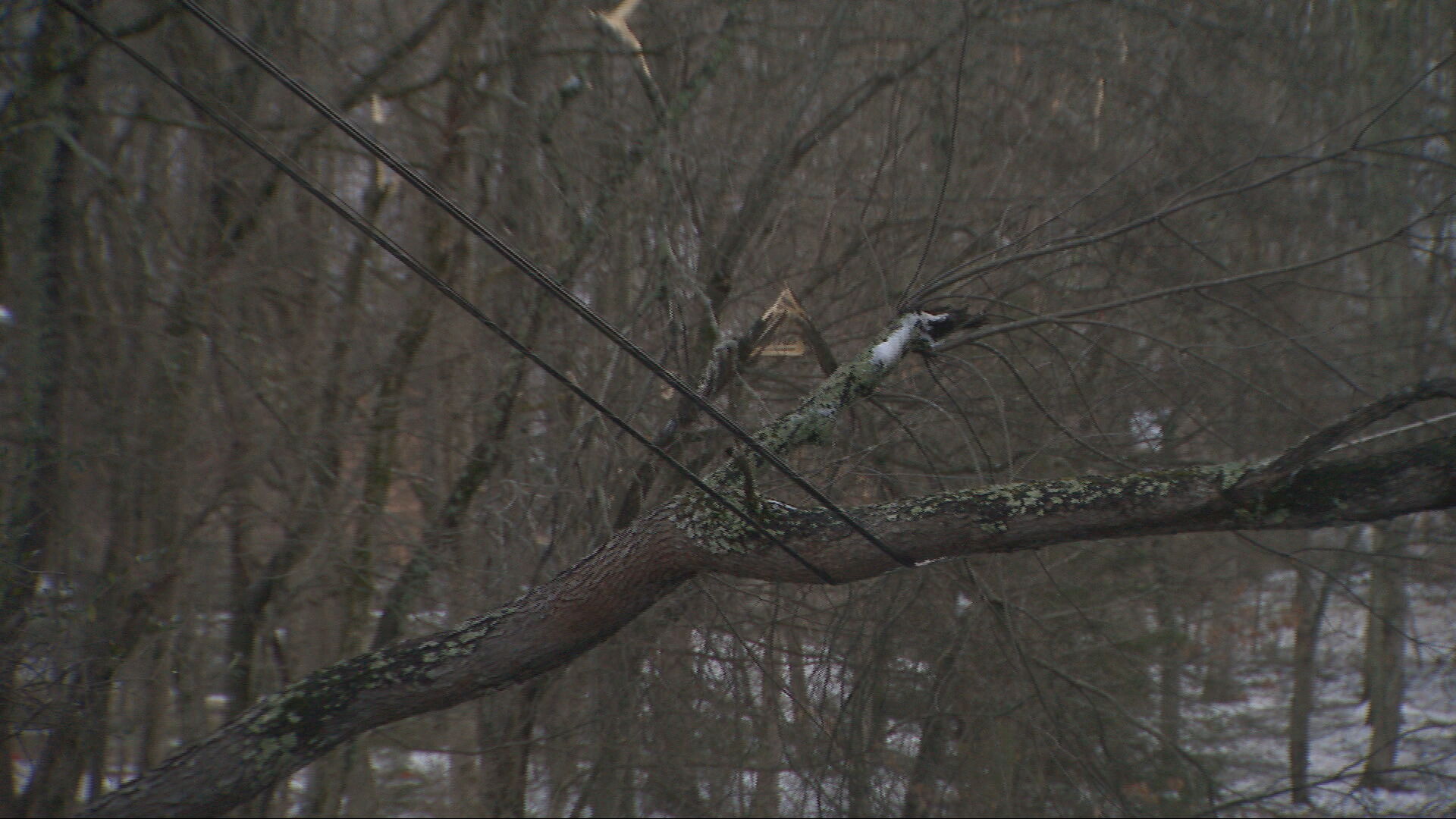 Areas still without power RAW_frame_22709.jpeg