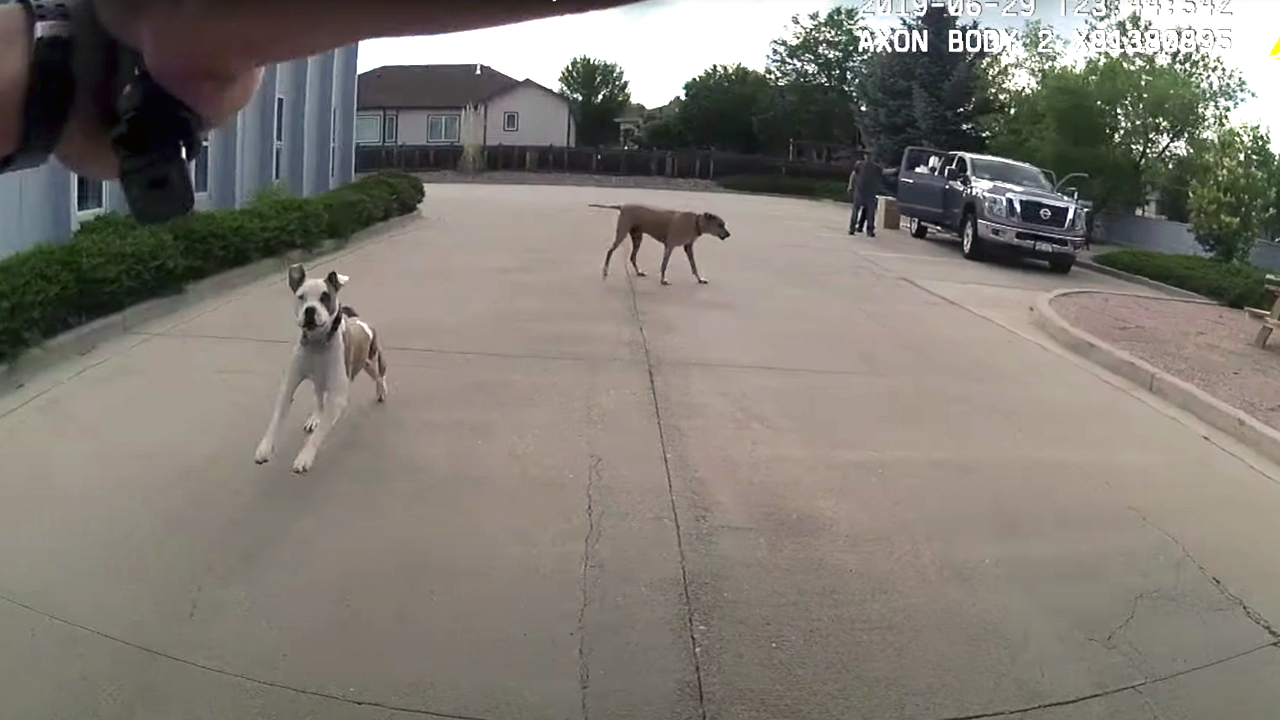 loveland dog shooting.png
